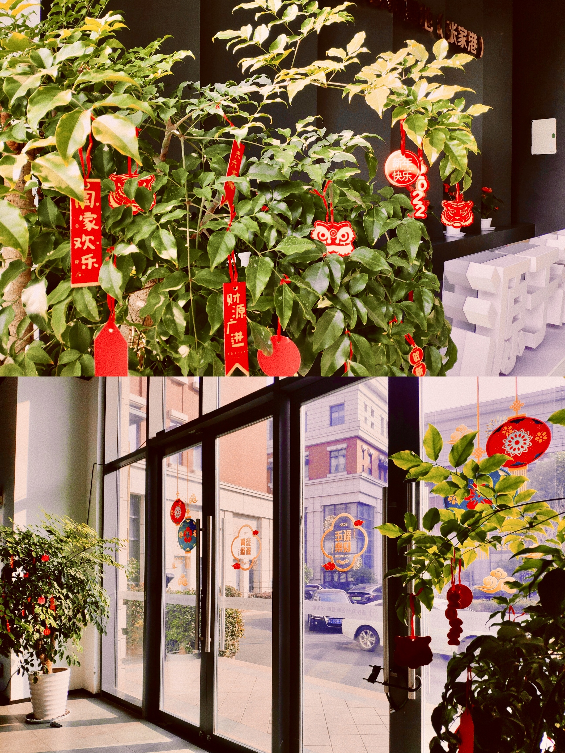 M&aacute;quina de forro de la tapa